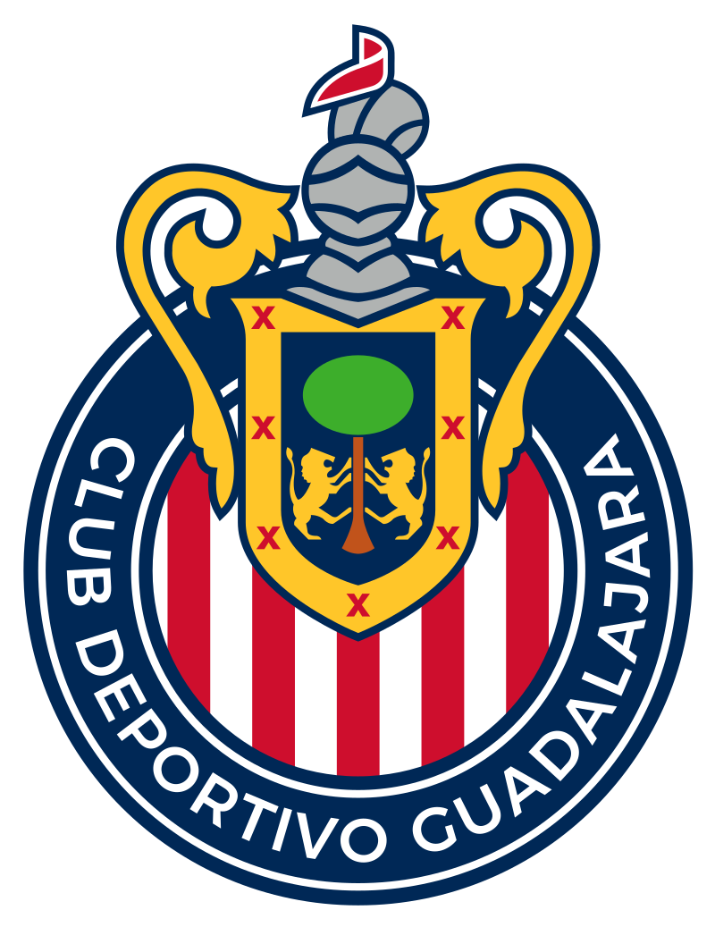Chivas 2024_25 Away Jersey Player Version