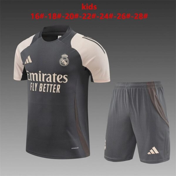 Real Madrid 202425 Training Jersey