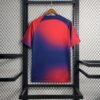 Paris Saint-Germain 202324 Pre-Match Training Boutique Jersey B Paris Saint-Germain 2023/24 Pre-Match Training Boutique Jersey