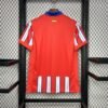 Atletico Madrid 2024/25 Home Jersey