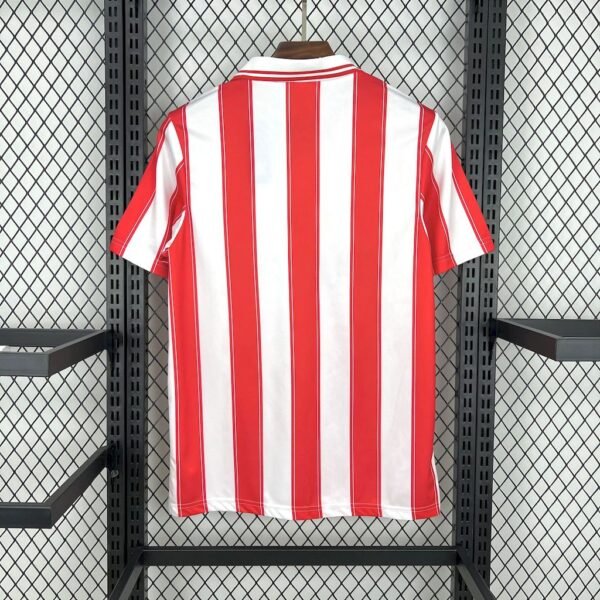 Retro PSV Eindhoven 199495 Home Jersey b Retro PSV Eindhoven 1994/95 Home Jersey